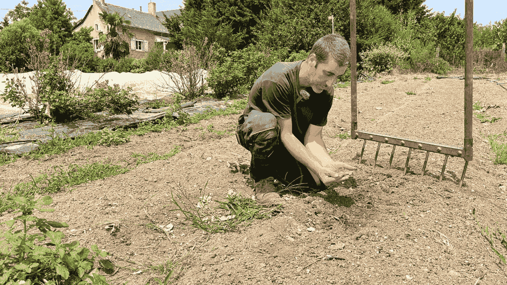 Apport de compost en surface sur une planche