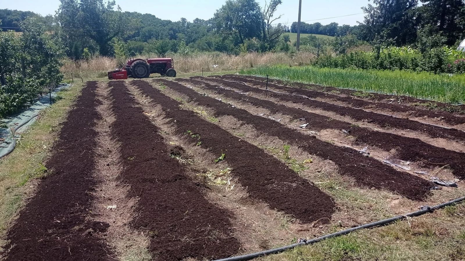 Parcelle de microferme avec exposition et orientation favorables