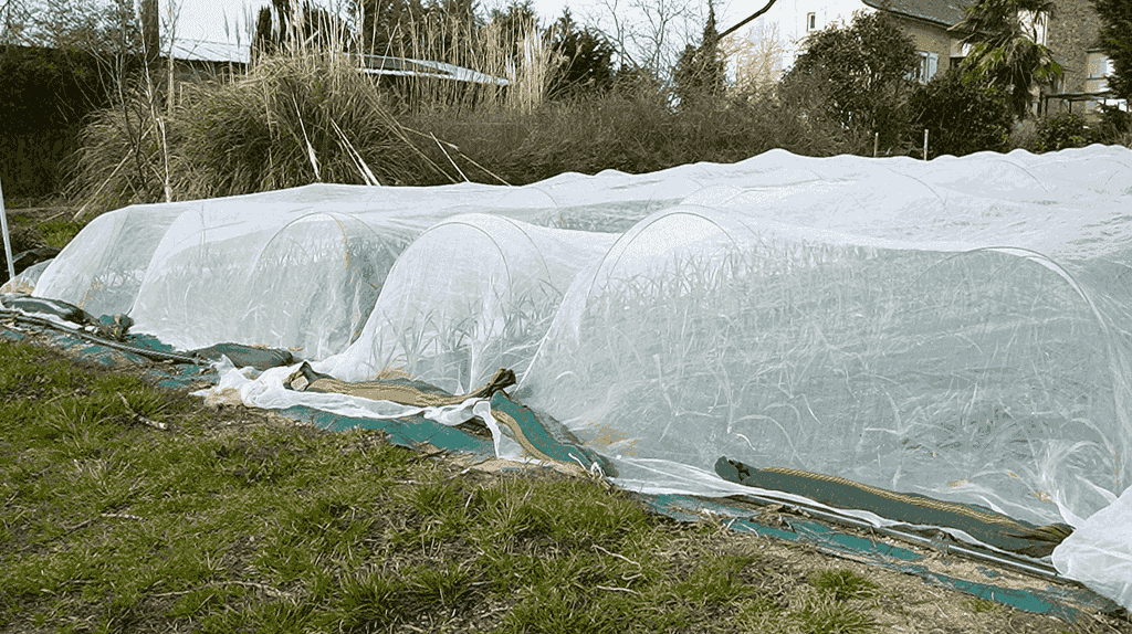 Schéma de pose et de fixation d’un filet anti-insectes sur une planche maraîchère