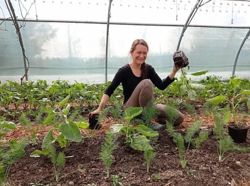Découvrir la formation Microferme en présentiel aux Jardins de la Valette