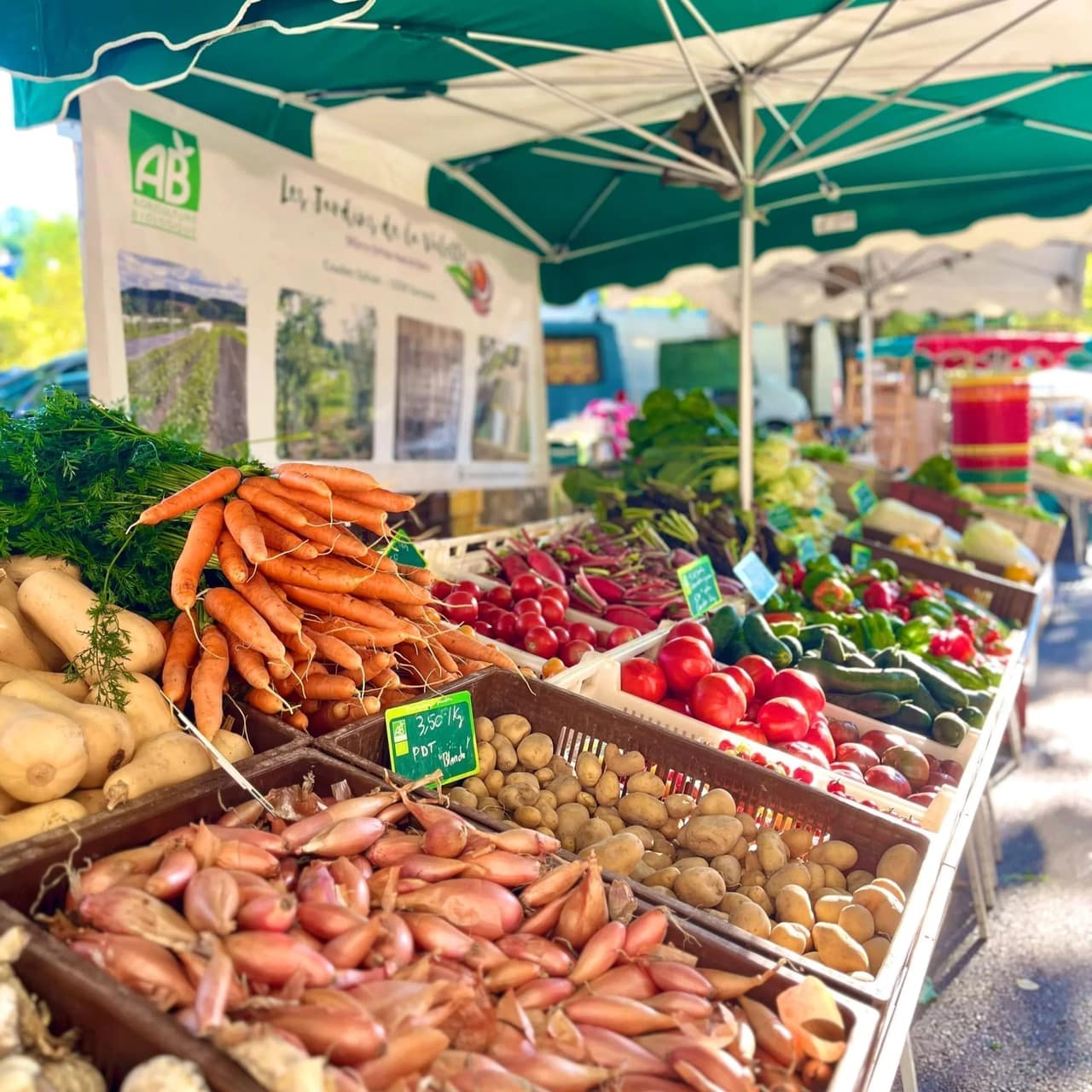 Légumes disposés en cagettes inclinées sur un stand de marché