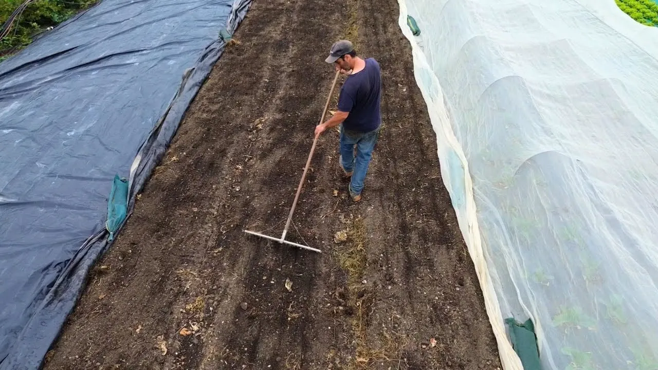 Soil preparation under glass at Les Jardins de la Valette, by hand with a broadfork